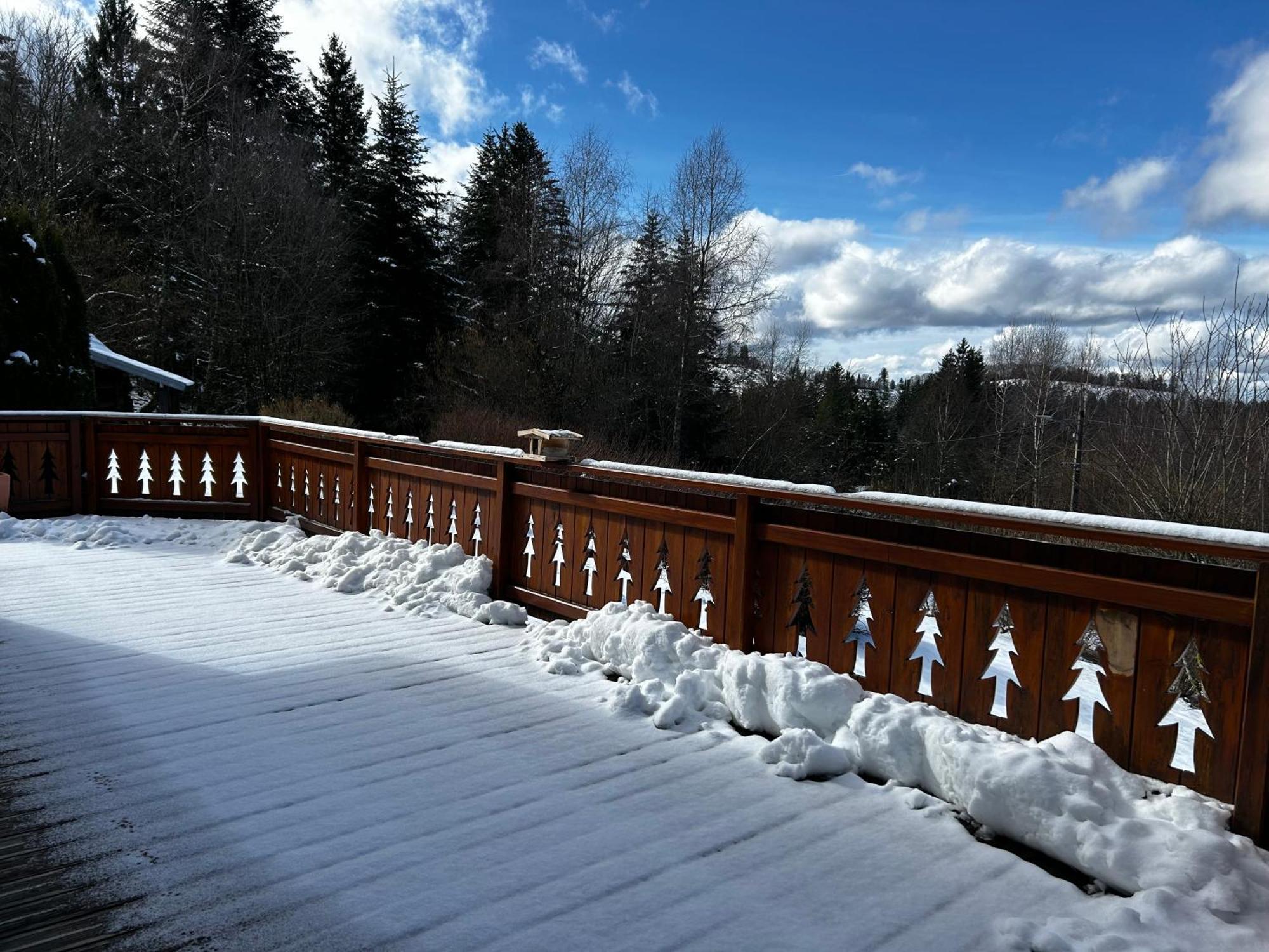 Chalet Avec Jacuzzi Prive, Vue Sur Les Vosges Belfahy Εξωτερικό φωτογραφία